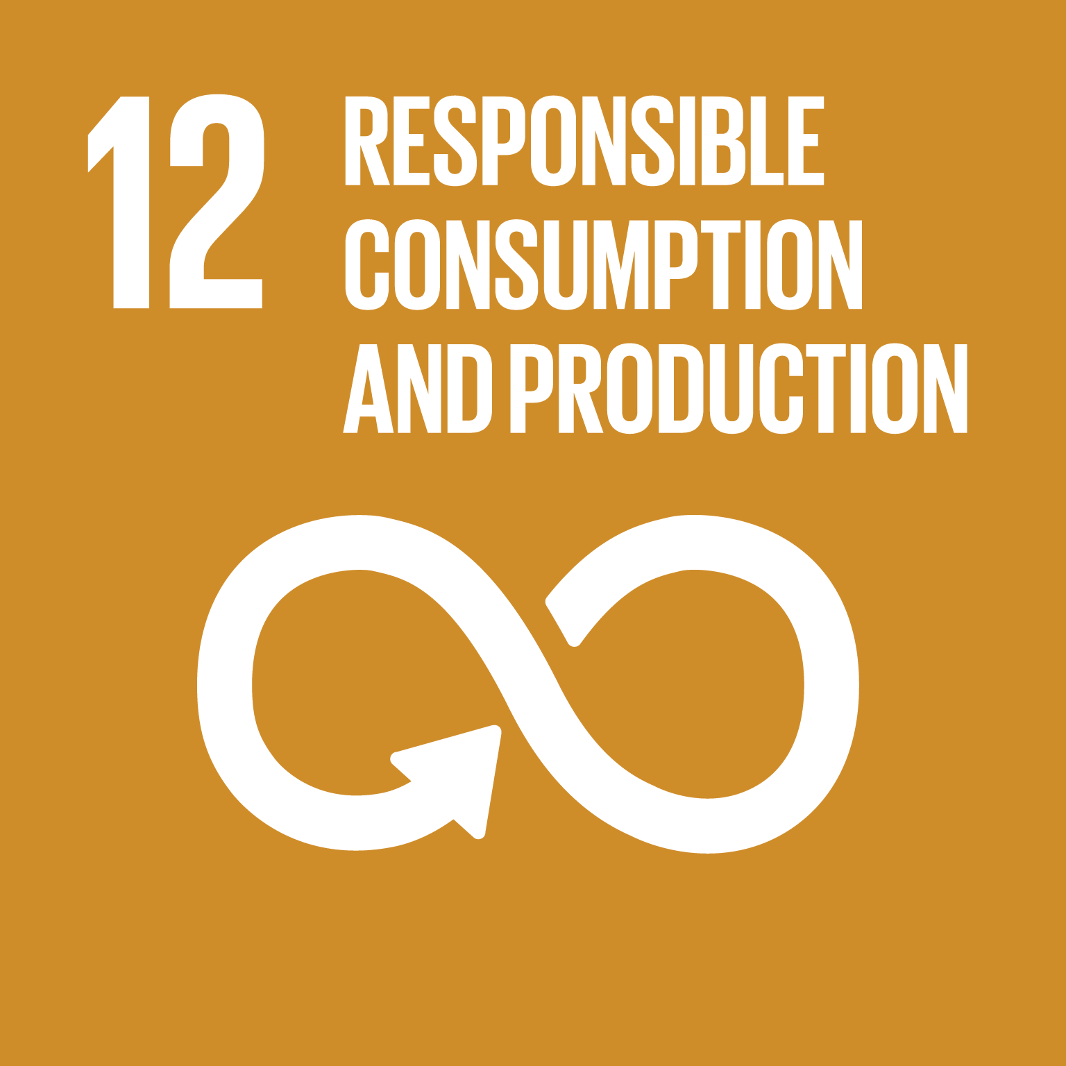 SDG 12: Responsible Production and Consumption