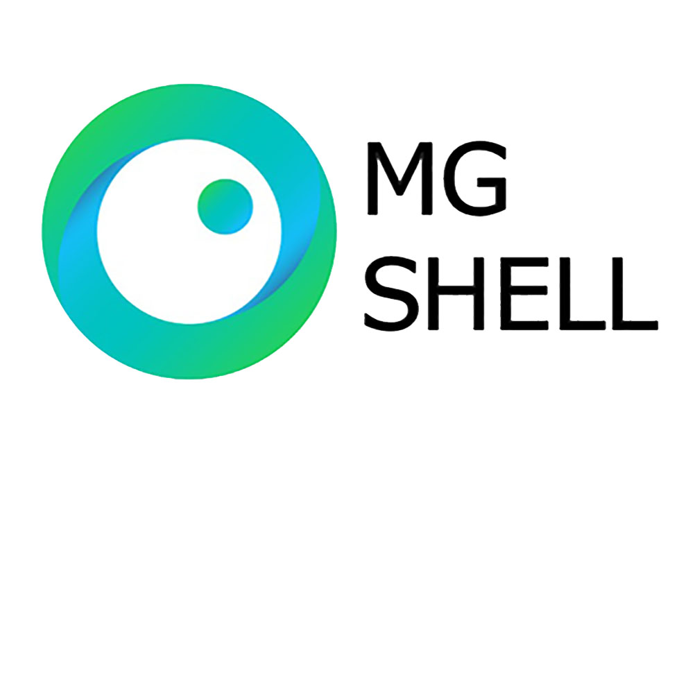 GSVC 2019 Mg Shell