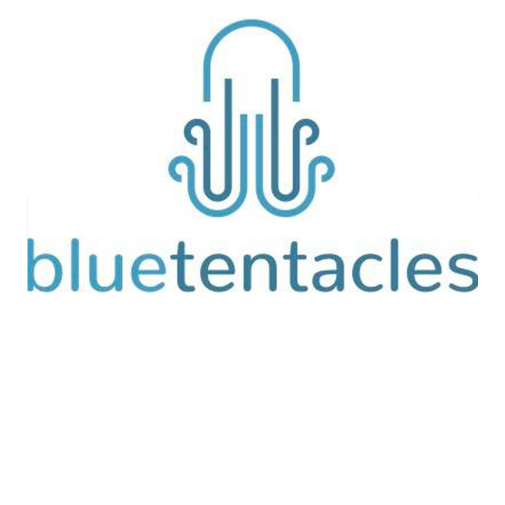 GSVC 2019 Bluetentacles