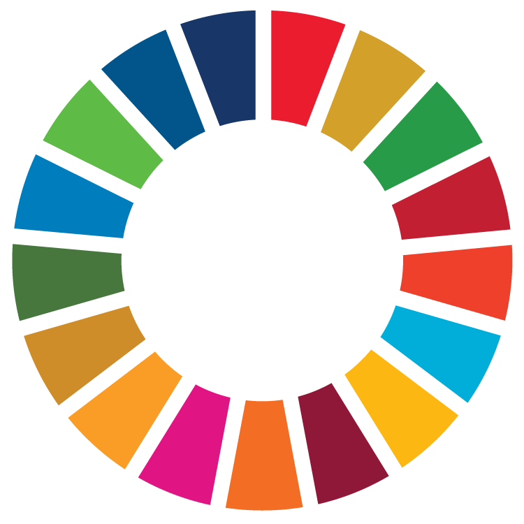 Tutti i 17 SDG
