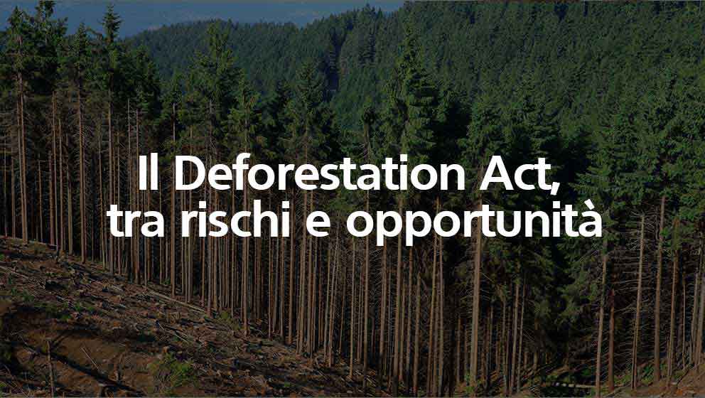 Deforestation Act, tra rischi e opportunità