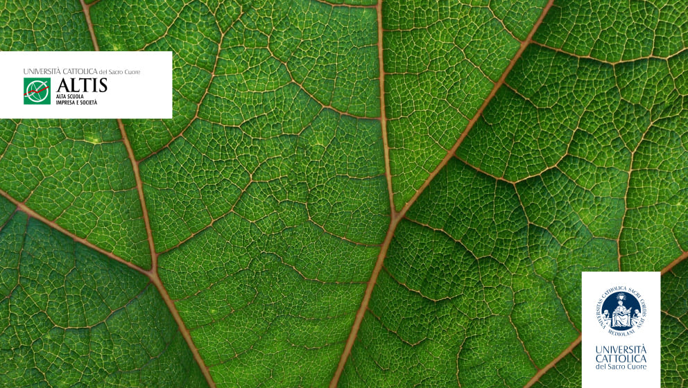 Quick and clean? Finding the right pace for the green transition